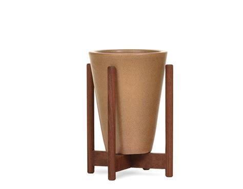 Case Study Desktop Funnel Planter With Wood Stand