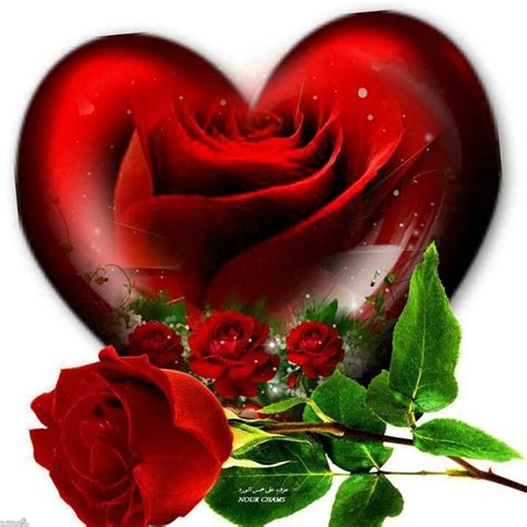 Pin By Monika Düresch On Hearts Roses Hearts And Roses Love You