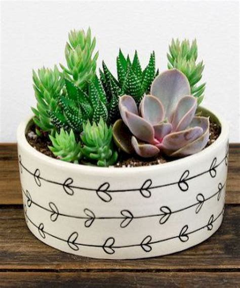 Awesome Selecting A Pots Or Planter For Succulentsjihanshanum