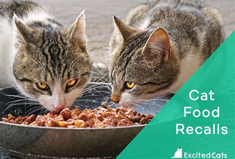 In this article you will find our readers rely upon the dog food reviews, articles and recall alerts that we research and publish. Cat Food Recalls in 2021 | Is Your Brand On This List?