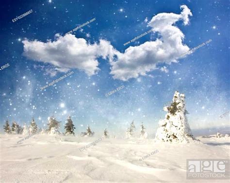 Christmas Background With Snowy Fir Trees Stock Photo Picture And Low