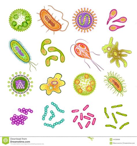 Maybe you would like to learn more about one of these? Batteri E Cellule Del Virus Illustrazione Vettoriale ...