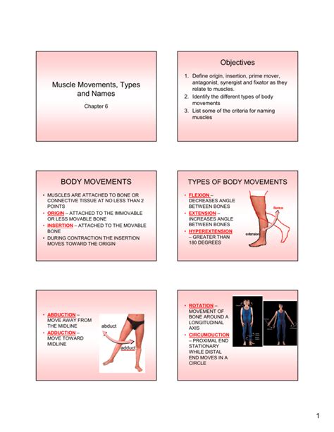 Muscle Movements Types And Names Worksheet Worksheets For Kindergarten
