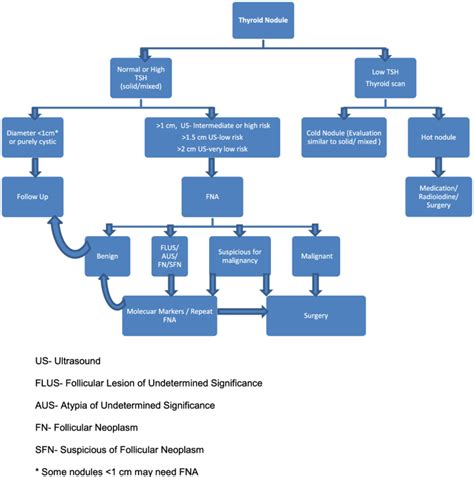 Thyroid Nodule Workup Algorithm Download Scientific Diagram