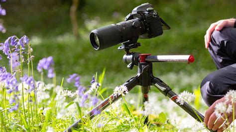 Best Tripods For Macro Photography Camera Kool