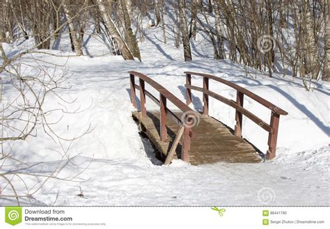 Wooden Bridge In Winter Park Stock Photo Image Of Forest Wooden