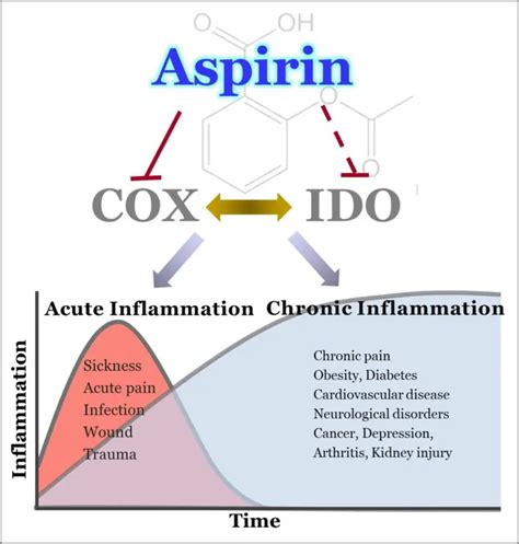 Decoding Aspirin New Research Unveils The Secrets Behind Its Powerful