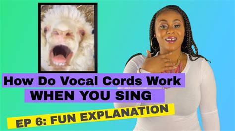 How Do Vocal Cords Work When You Sing Video2021 Fun Explanation