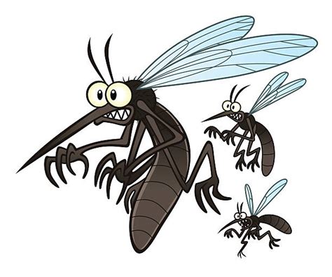 1200 Funny Mosquito Stock Photos Pictures And Royalty Free Images Istock