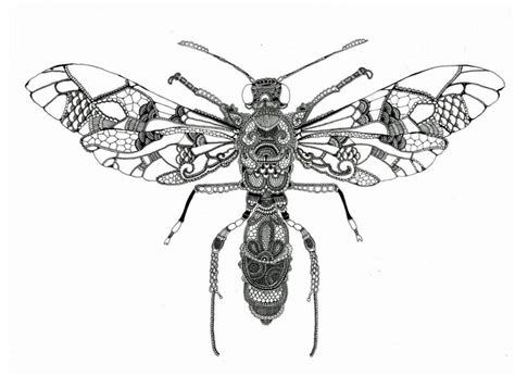 Intricate Detailed Drawing By Rosalind Monks Insect Art Insects