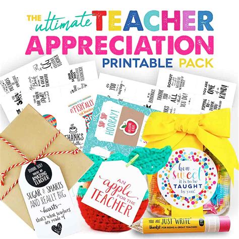 50 Cute Sayings For Teacher Appreciation Ts For The Best Teacher Ts
