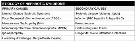 Nephrotic Syndrome Pearl Of The Day Maimonides Emergency Medicine