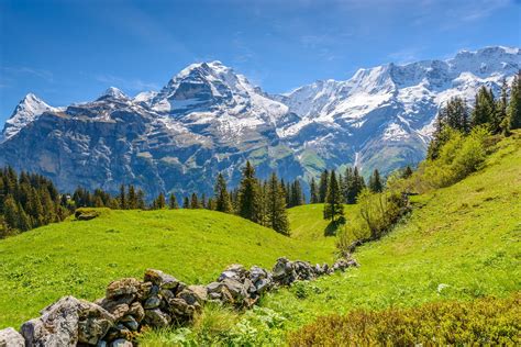 Senderismo En Los Alpes Suizos Oberland Bernés Muntania Agencia De