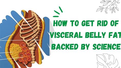 How To Get Rid Of Visceral Belly Fat Backed By Science