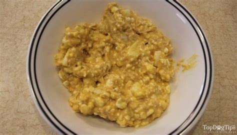 It's also possible to include homemade meals in your professionally selected diet. Homemade Dog Food for Liver Disease Recipe (How-To Video ...