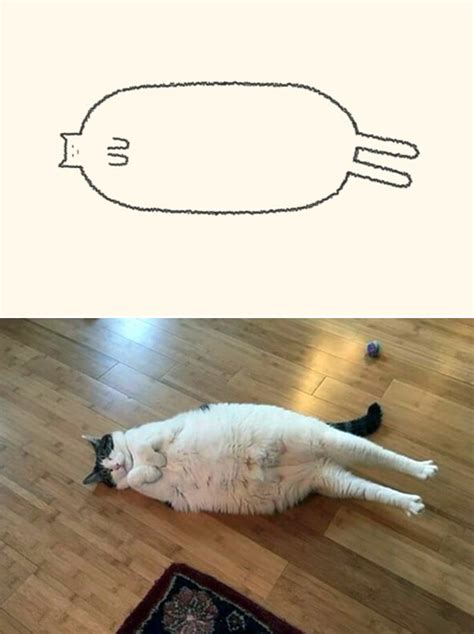 Really Accurate Cat Drawings Barnorama