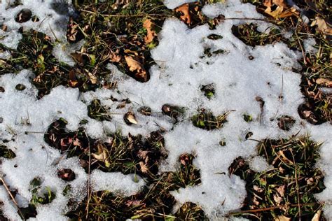 Melting Snow Stock Image Image Of Layer Ground Frozen 86592031