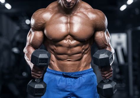 Is Building Six Pack Abs Good For You What You Need To Know Before