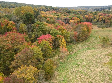 Crows Nest Fall Color Update Natural Lands