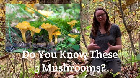 3 Fungi Every Mushroom Forager Should Know Youtube