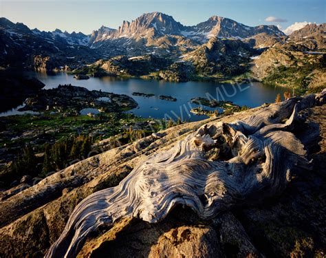 Wind River Range By David Muench