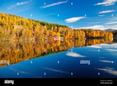 Autumn Colour At Loch Faskally Pitlochry Scotland Stock Photo Alamy