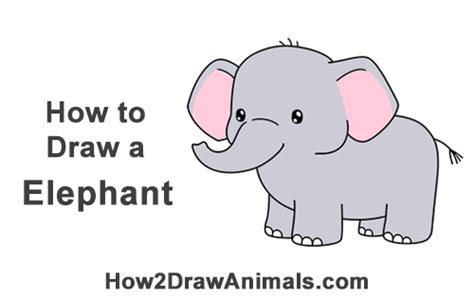 How To Draw A Elephant Cartoon Video And Step By Step Pictures