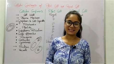 It is easier to describe these parts by using diagrams plant and animal cells. Cellular Components of Plant Cell and Animal Cell | Cell ...