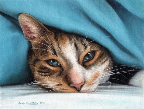Cat Under Blanket Painting By Sarah Stribbling