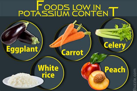 A Diet That Includes Low Potassium Foods Is An Important Part Of The
