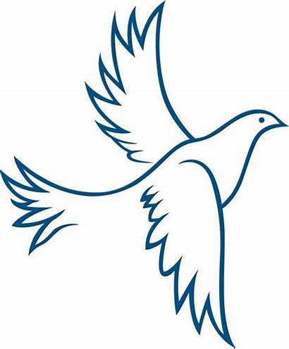 Dove Outline Clipart Designs Christmas Vector Doves