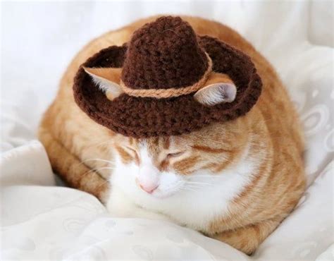 Cowboy Hat For Cats Bandana Add On Option Cowboy Halloween Etsy