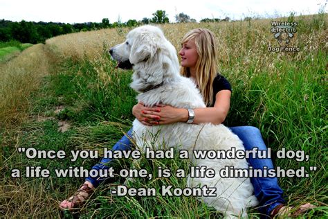 Dog Quote Life After A Wonderful Dog Best Wireless Electric Dog Fence
