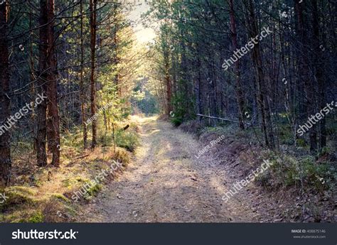 Dirt Road Through The Woods Stock Photo 408875146 Shutterstock