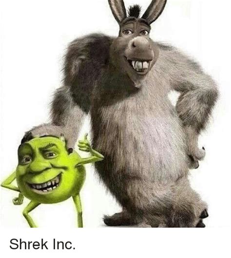 Shrek And Shrek Meme On Meme
