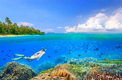 Sulawesi biodiversity for sustainable future in a rapidly changing environment. Sulawesi Island: 10 Best Things To Do On Your Next Trip