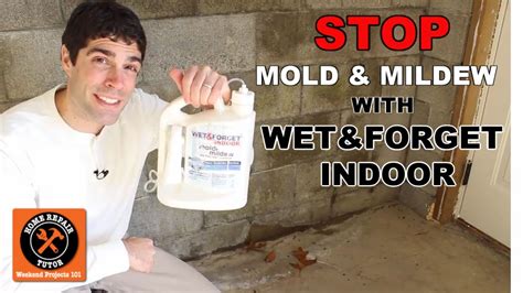 Wet And Forget Indoor Discover A New Way To Stop Mold And Mildew By