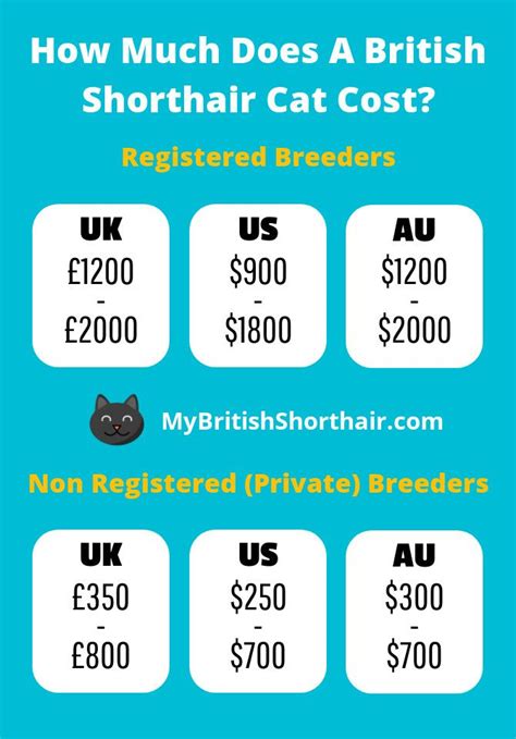 Buy the selected items together. How Much Does A British Shorthair Cat Cost (US/UK/AU ...