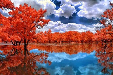 Worlds Most Beautiful Nature Reflection Photography Wallpapers
