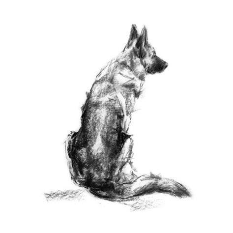 The Shepherd Gsd Sketch Print Drawing Of A German Shepherd Dog
