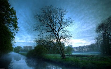 Wallpaper Sunlight Trees Landscape Forest Lake Nature