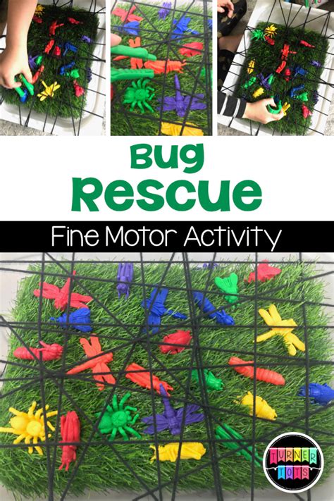 Insect Activities Crawling With Fun In 2020 Fine Motor Skills