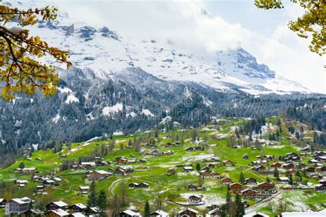 Winter And Spring In Alps Jungfrau Region Switzerland Stock Image