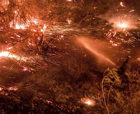 Worst Wildfires To Hit The World Daily Star