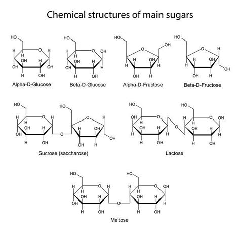 Basic Carbohydrate Chemical Structure