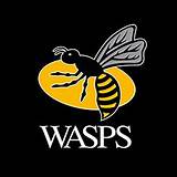 Wasp Logo Images