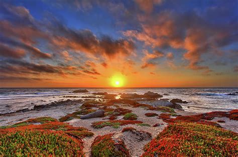 Pacific Grove Sunset By David Toussaint