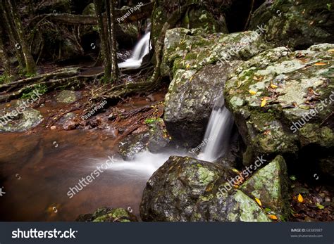 Cascades Australian Rain Forest Rocks Stock Photo 68389987 Shutterstock