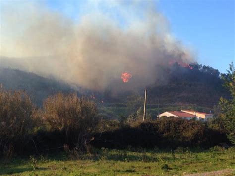 Segurança contra incêndio em edifícios. Incêndio consome mato perto do Autódromo do Algarve em ...