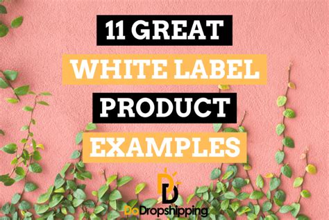 11 Great White Label Product Examples To Sell Online In 2021